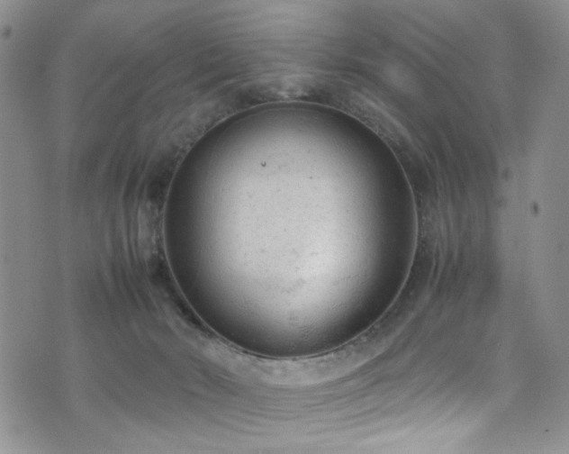 X0000072550030200607141304