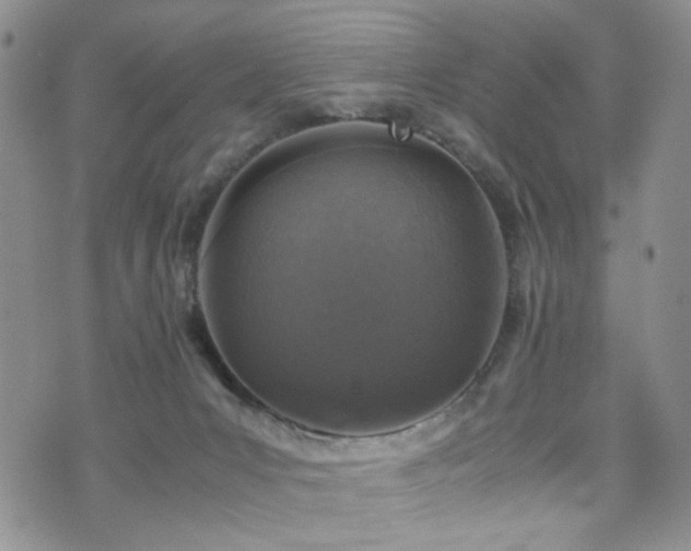 X0000072550031200607141304