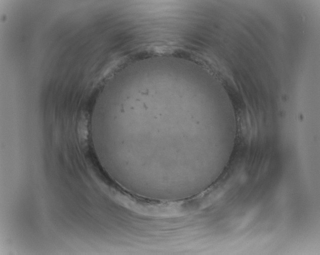 X0000072550032200607141304