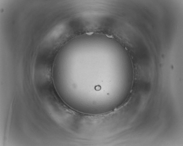 X0000072550033200607141304