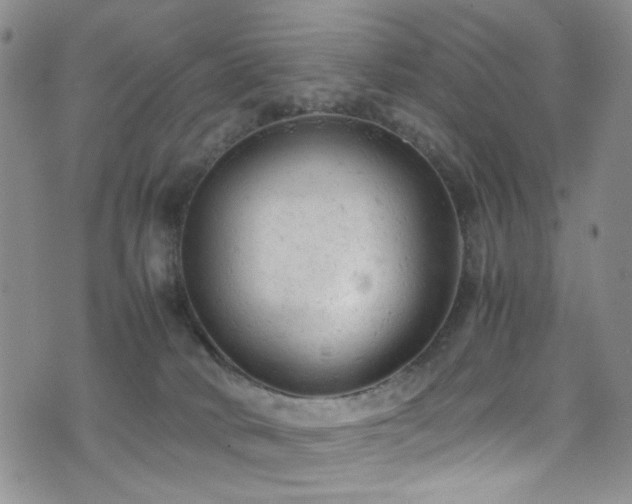 X0000072550034200607141303