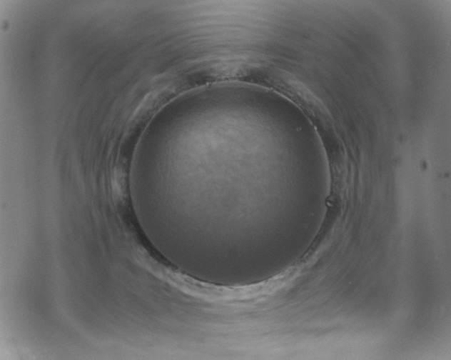 X0000072550035200607141303