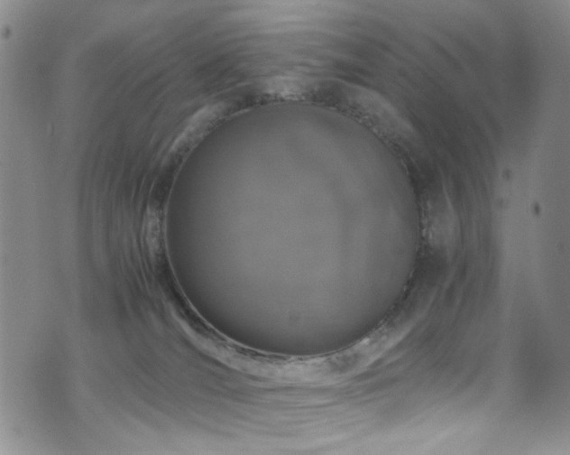 X0000072550036200607141303