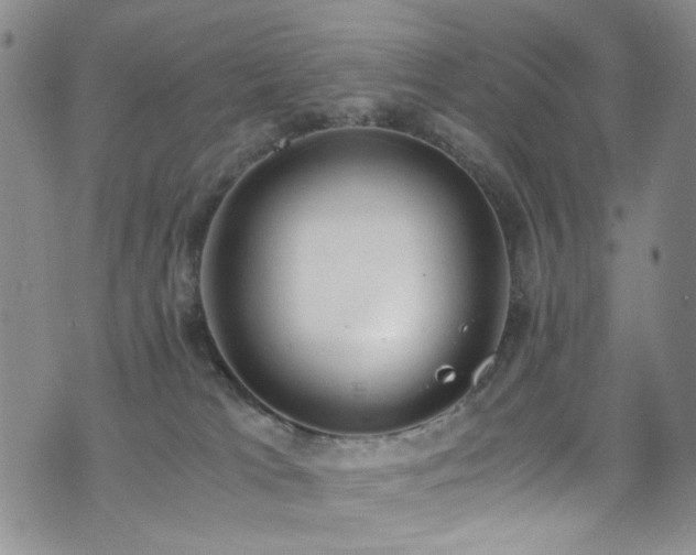 X0000072550037200607141303