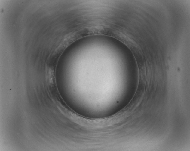 X0000072550038200607141303