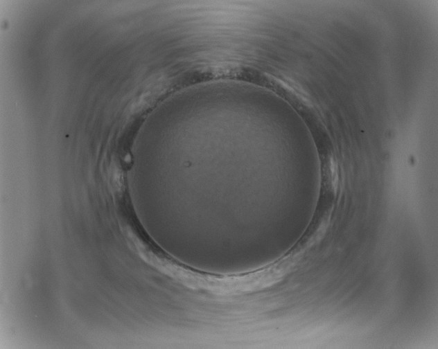 X0000072550039200607141303