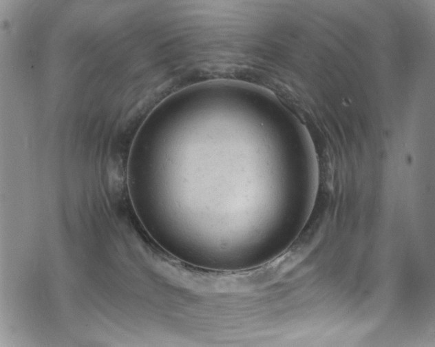 X0000072550040200607141303