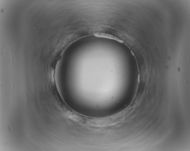 X0000072550041200607141303