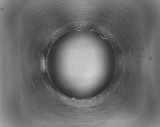 X0000072550042200607141303