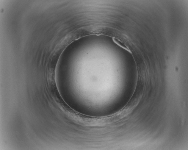 X0000072550044200607141303