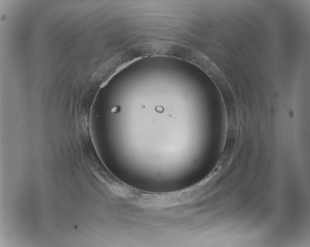 X0000072550045200607141303