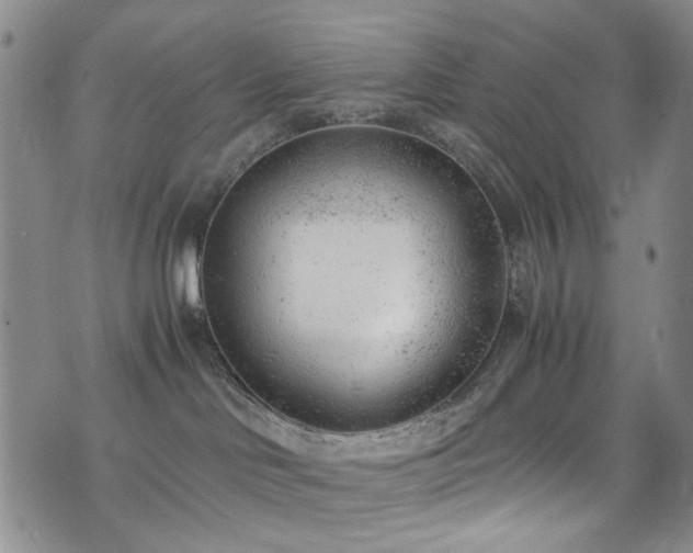 X0000072550046200607141303