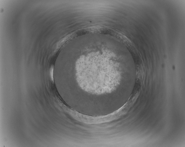 X0000072550047200607141303