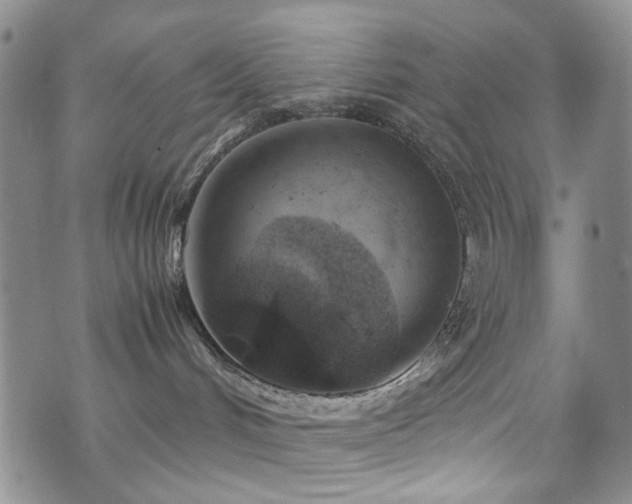 X0000072550048200607141303