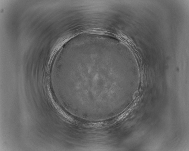 X0000072550049200607141302