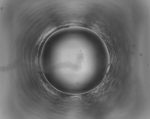 X0000072550050200607141303