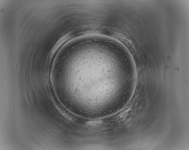 X0000072550051200607141303