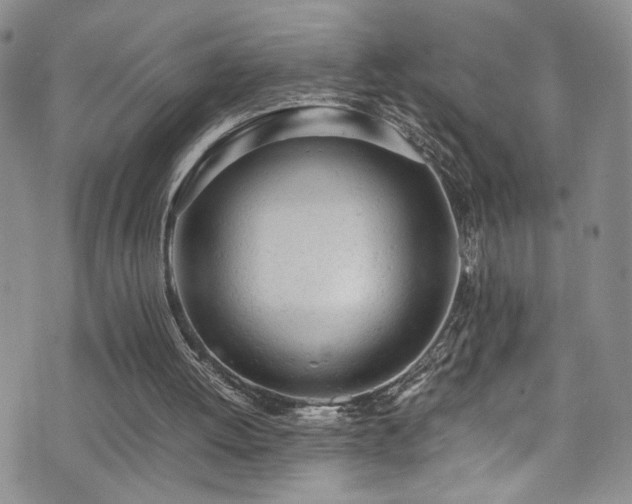 X0000072550052200607141303