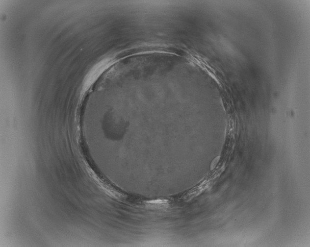 X0000072550053200607141303