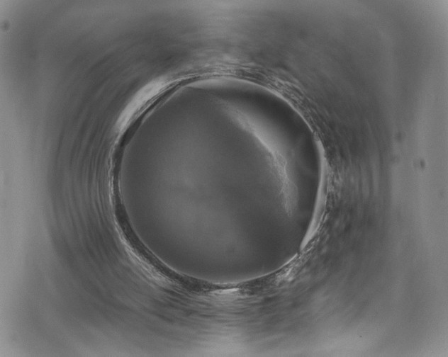 X0000072550054200607141303