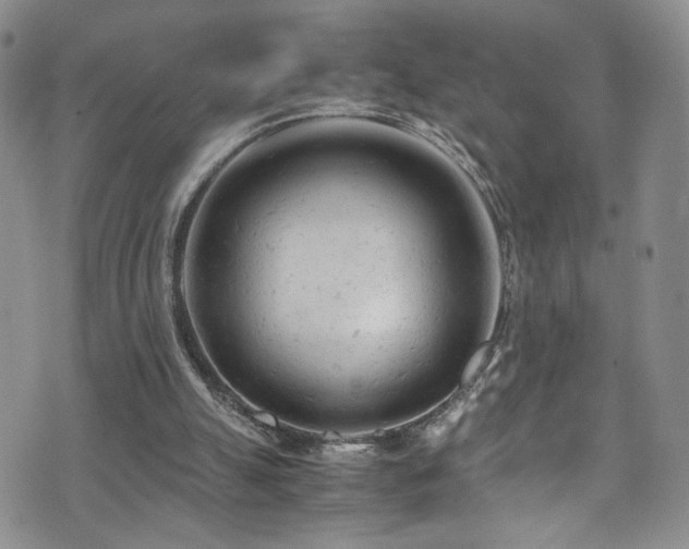 X0000072550055200607141303