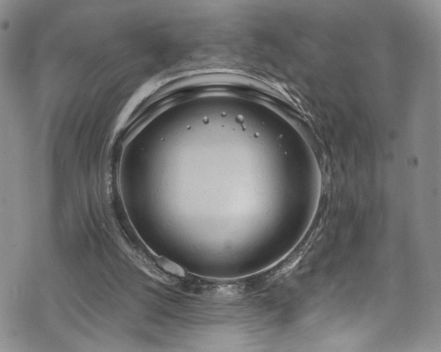 X0000072550056200607141303