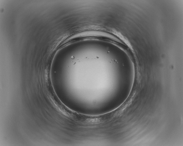 X0000072550057200607141303