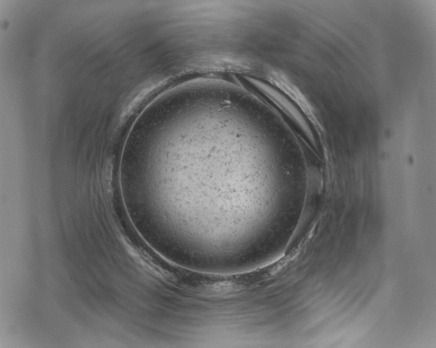 X0000072550058200607141303