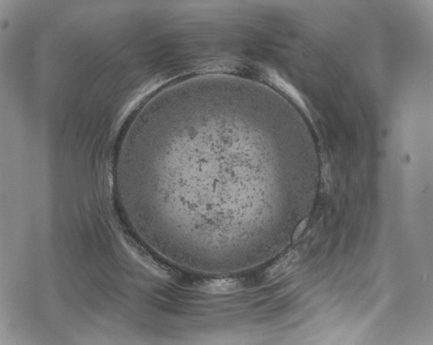 X0000072550059200607141303