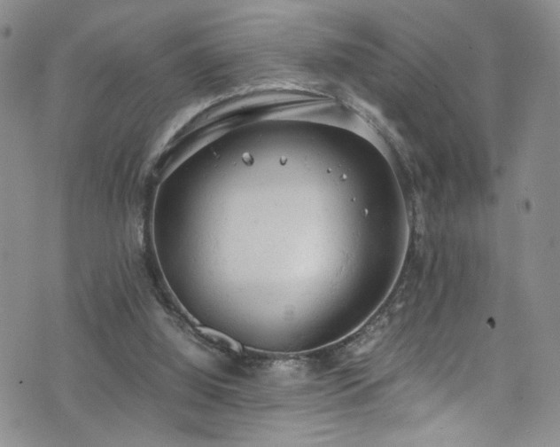 X0000072550060200607141303