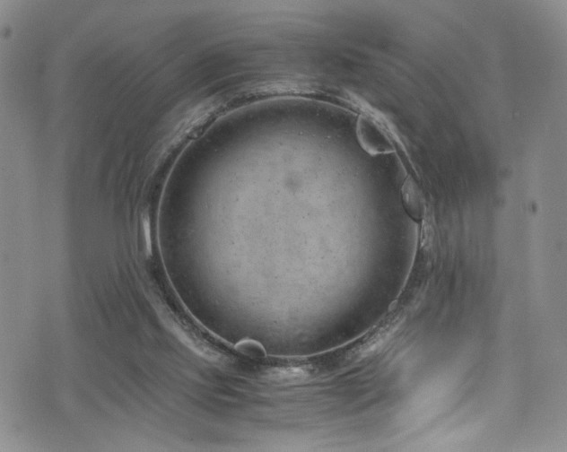 X0000072550061200607141303