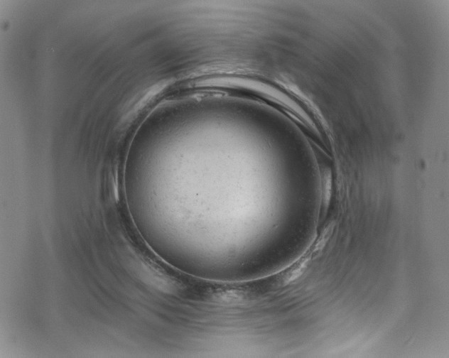 X0000072550062200607141303