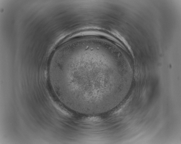 X0000072550063200607141303