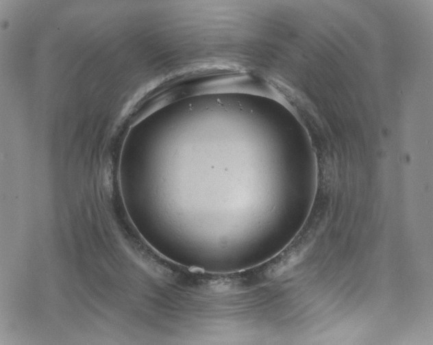 X0000072550064200607141303