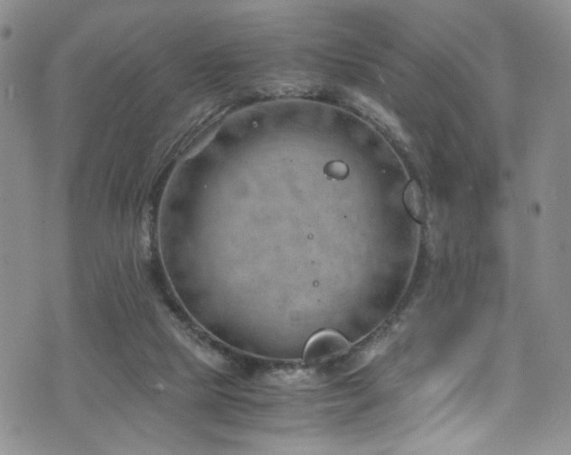 X0000072550065200607141303