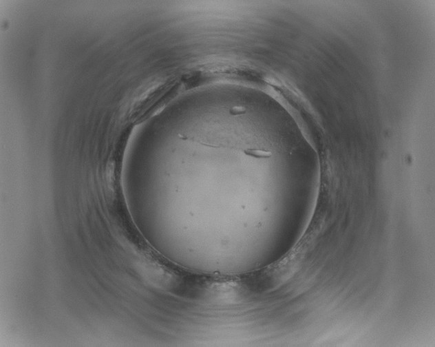 X0000072550066200607141303