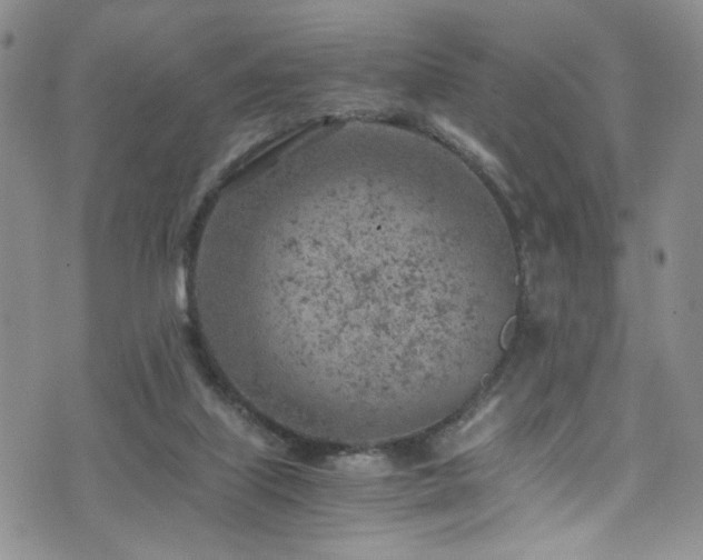 X0000072550067200607141303