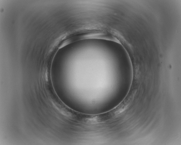 X0000072550068200607141303