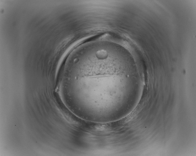 X0000072550070200607141303