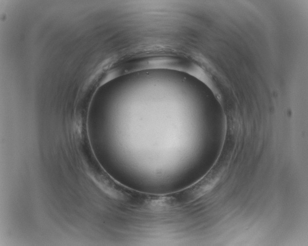 X0000072550072200607141303