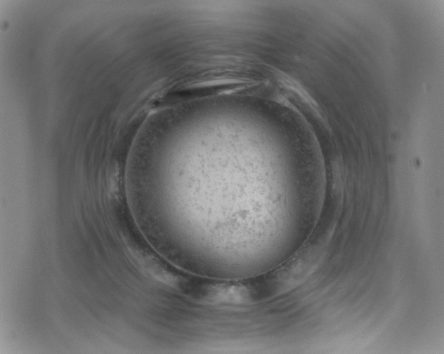 X0000072550073200607141303