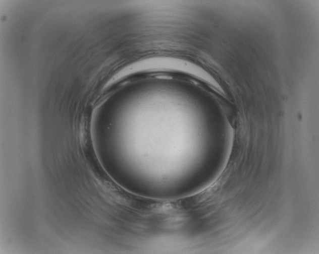 X0000072550074200607141303