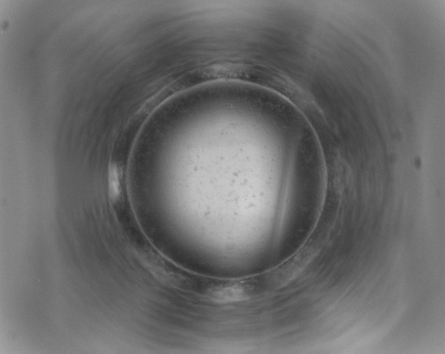 X0000072550075200607141303