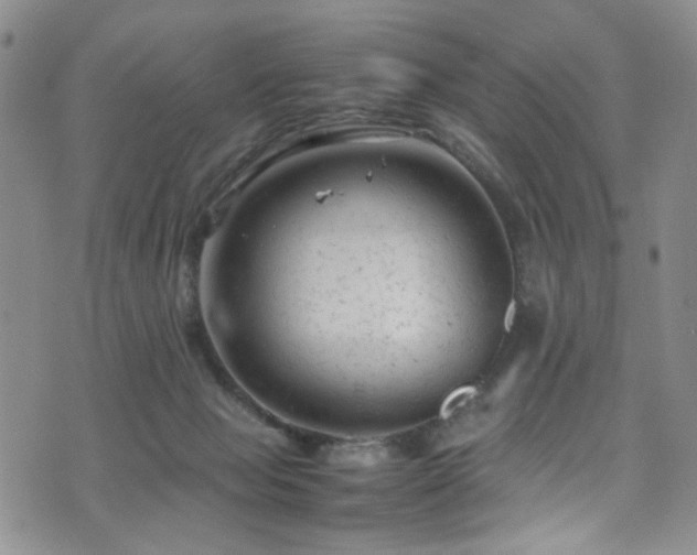 X0000072550077200607141303