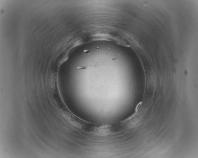 X0000072550078200607141303