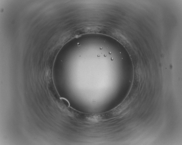 X0000072550079200607141303