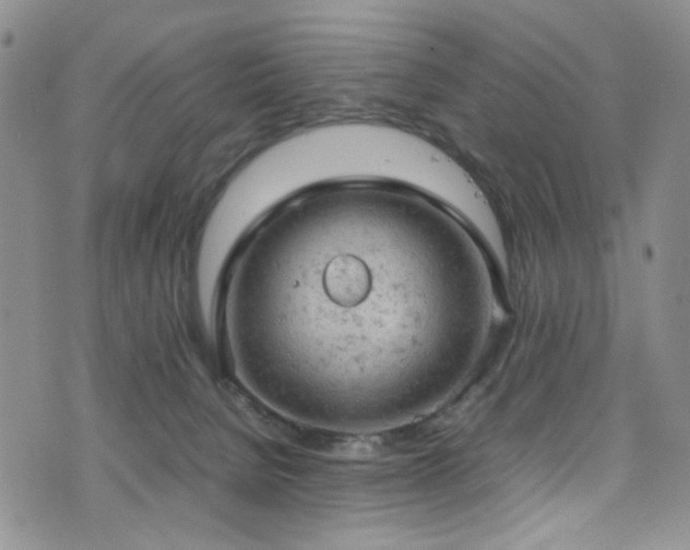 X0000072550080200607141303