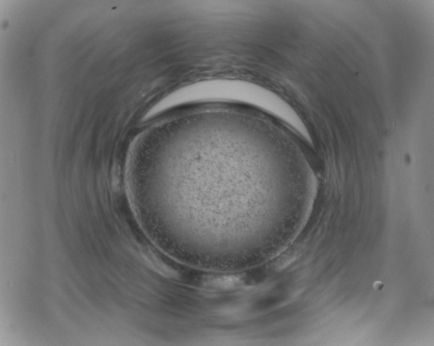 X0000072550081200607141303