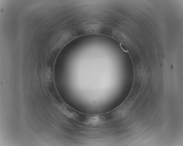 X0000072550083200607141303