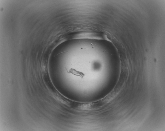 X0000072550084200607141303